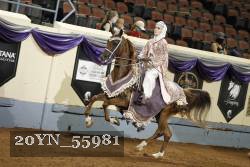 20YN_55981 thumbnail