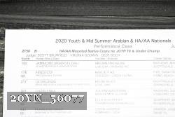 20YN_56077 thumbnail