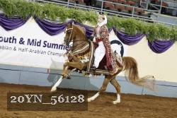 20YN_56128 thumbnail
