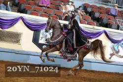 20YN_71024 thumbnail