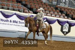 20YN_43530 thumbnail