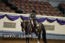 20YN_15408 thumbnail