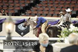 20YN_15428 thumbnail