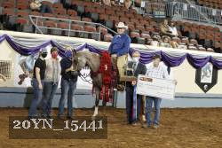 20YN_15441 thumbnail