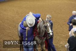 20YN_15448 thumbnail