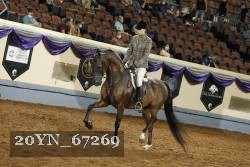 20YN_67269 thumbnail