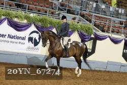 20YN_67274 thumbnail