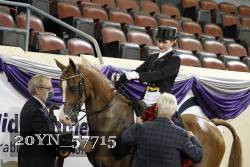 20YN_57715 thumbnail