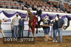 20YN_57722 thumbnail