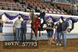 20YN_57723 thumbnail