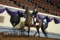20YN_57779 thumbnail