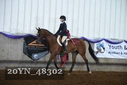 20YN_48302 thumbnail