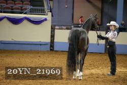 20YN_21969 thumbnail
