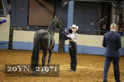 20YN_21971 thumbnail