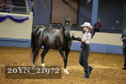 20YN_21972 thumbnail