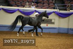 20YN_21973 thumbnail