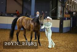 20YN_21983 thumbnail