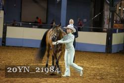 20YN_21984 thumbnail