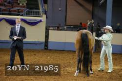 20YN_21985 thumbnail