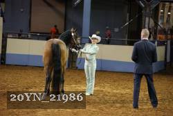 20YN_21986 thumbnail