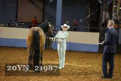 20YN_21987 thumbnail