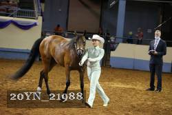20YN_21988 thumbnail
