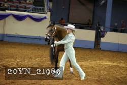 20YN_21989 thumbnail