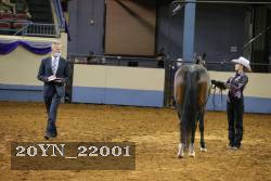 20YN_22001 thumbnail