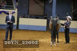 20YN_22002 thumbnail
