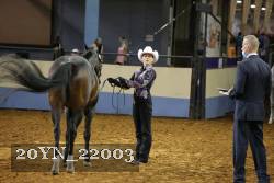20YN_22003 thumbnail