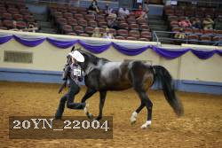 20YN_22004 thumbnail