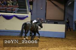 20YN_22006 thumbnail