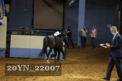 20YN_22007 thumbnail