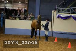20YN_22008 thumbnail