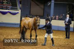 20YN_22020 thumbnail