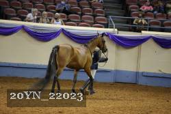 20YN_22023 thumbnail