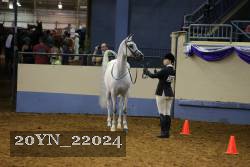 20YN_22024 thumbnail