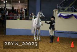 20YN_22025 thumbnail