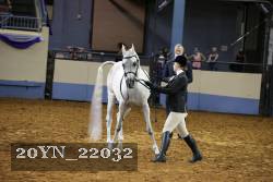 20YN_22032 thumbnail