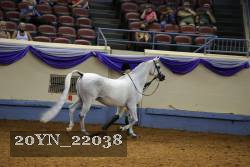 20YN_22038 thumbnail