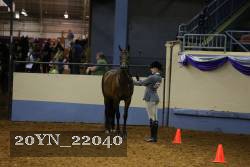 20YN_22040 thumbnail