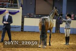 20YN_22050 thumbnail