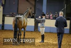 20YN_22051 thumbnail