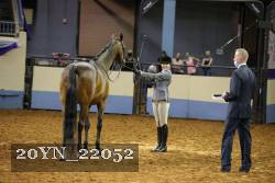 20YN_22052 thumbnail