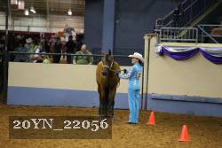 20YN_22056 thumbnail