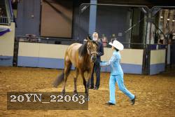 20YN_22063 thumbnail