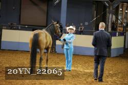20YN_22065 thumbnail