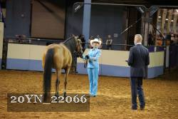 20YN_22066 thumbnail