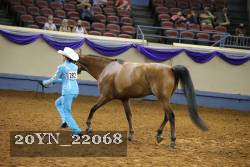 20YN_22068 thumbnail