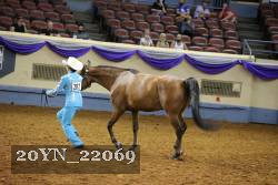 20YN_22069 thumbnail